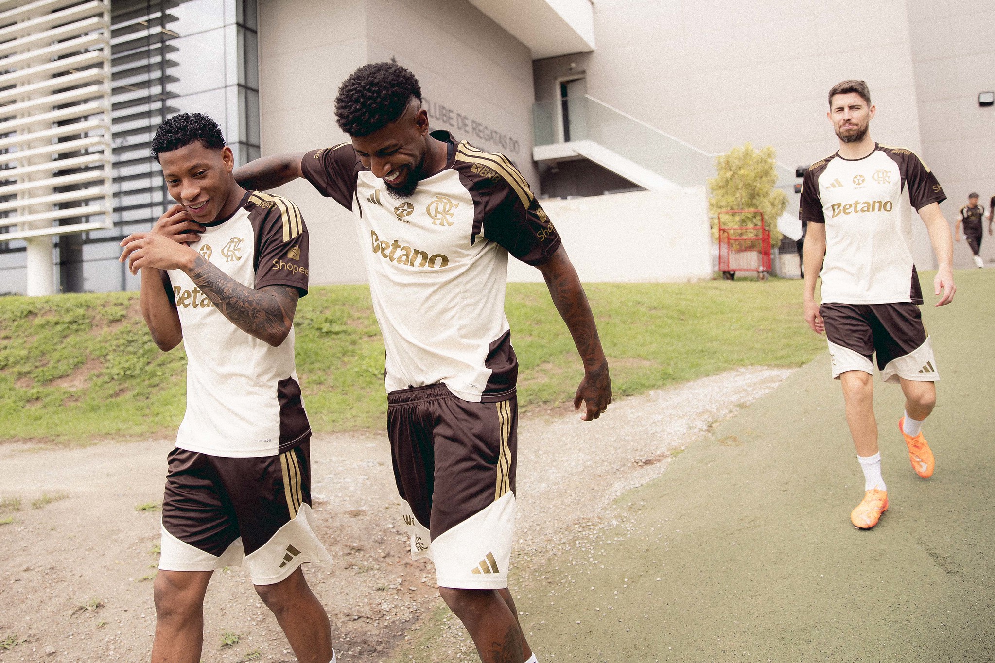 image para ilustrar o artigo