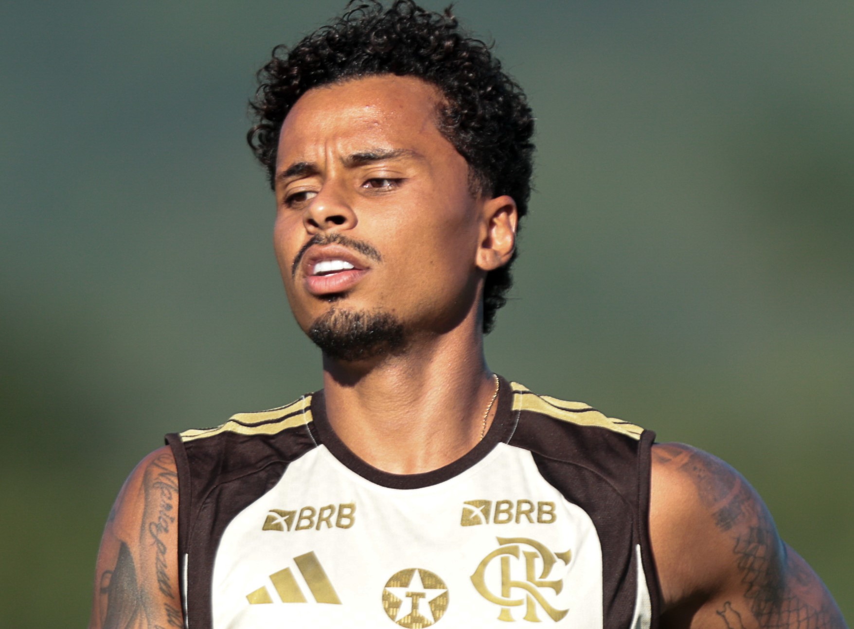 image para ilustrar o artigo