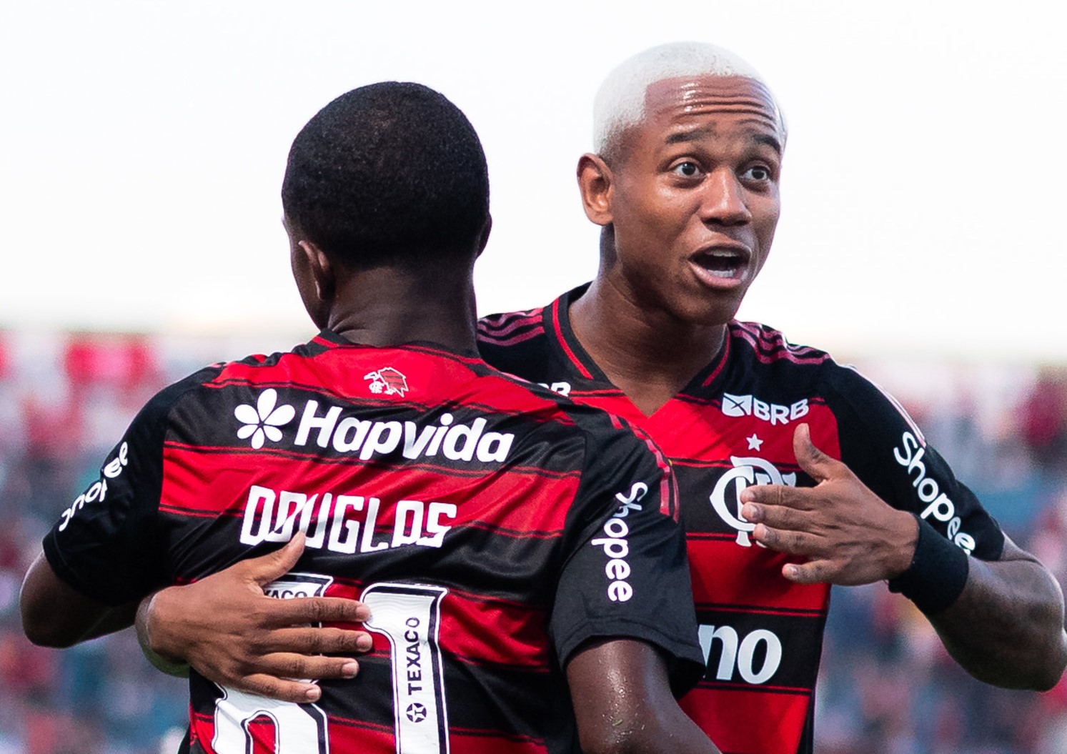 image para ilustrar o artigo