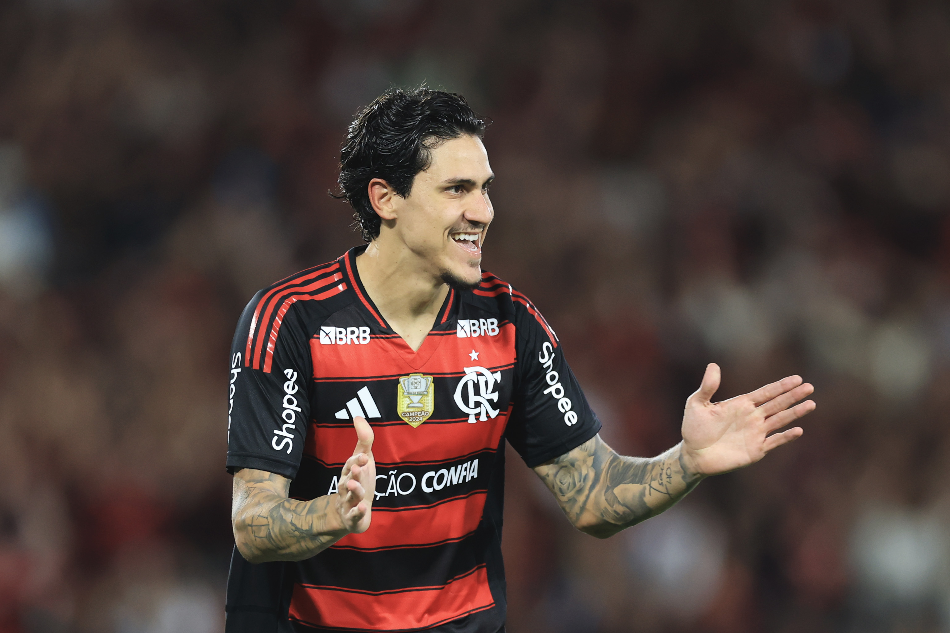 image para ilustrar o artigo