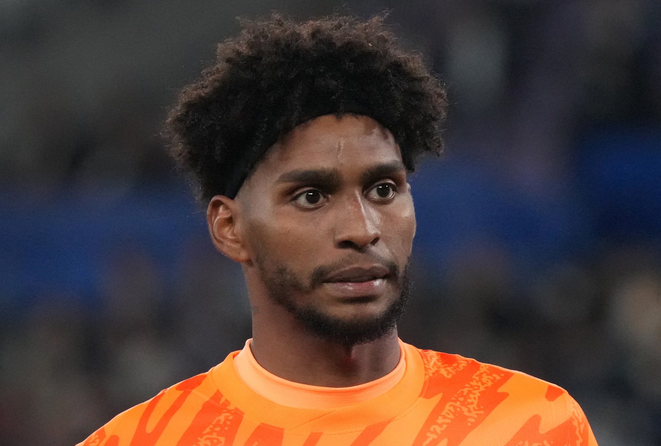 image para ilustrar o artigo