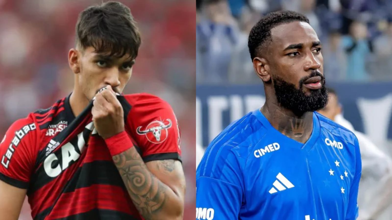 image para ilustrar o artigo