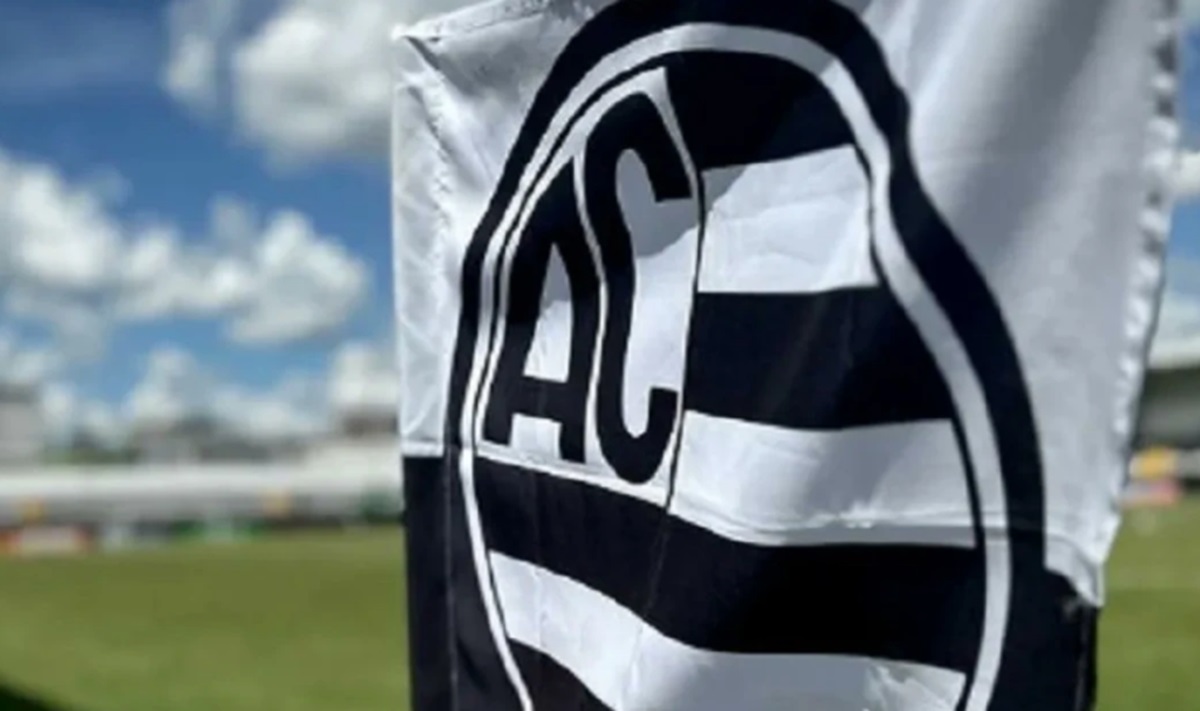 image para ilustrar o artigo