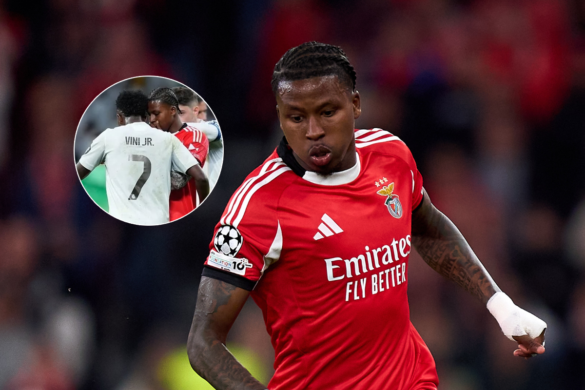 image para ilustrar o artigo