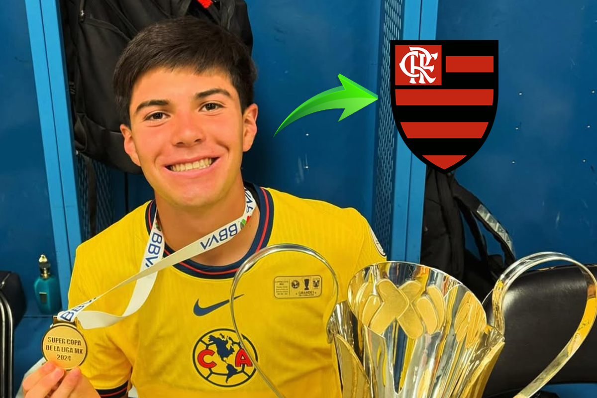 image para ilustrar o artigo