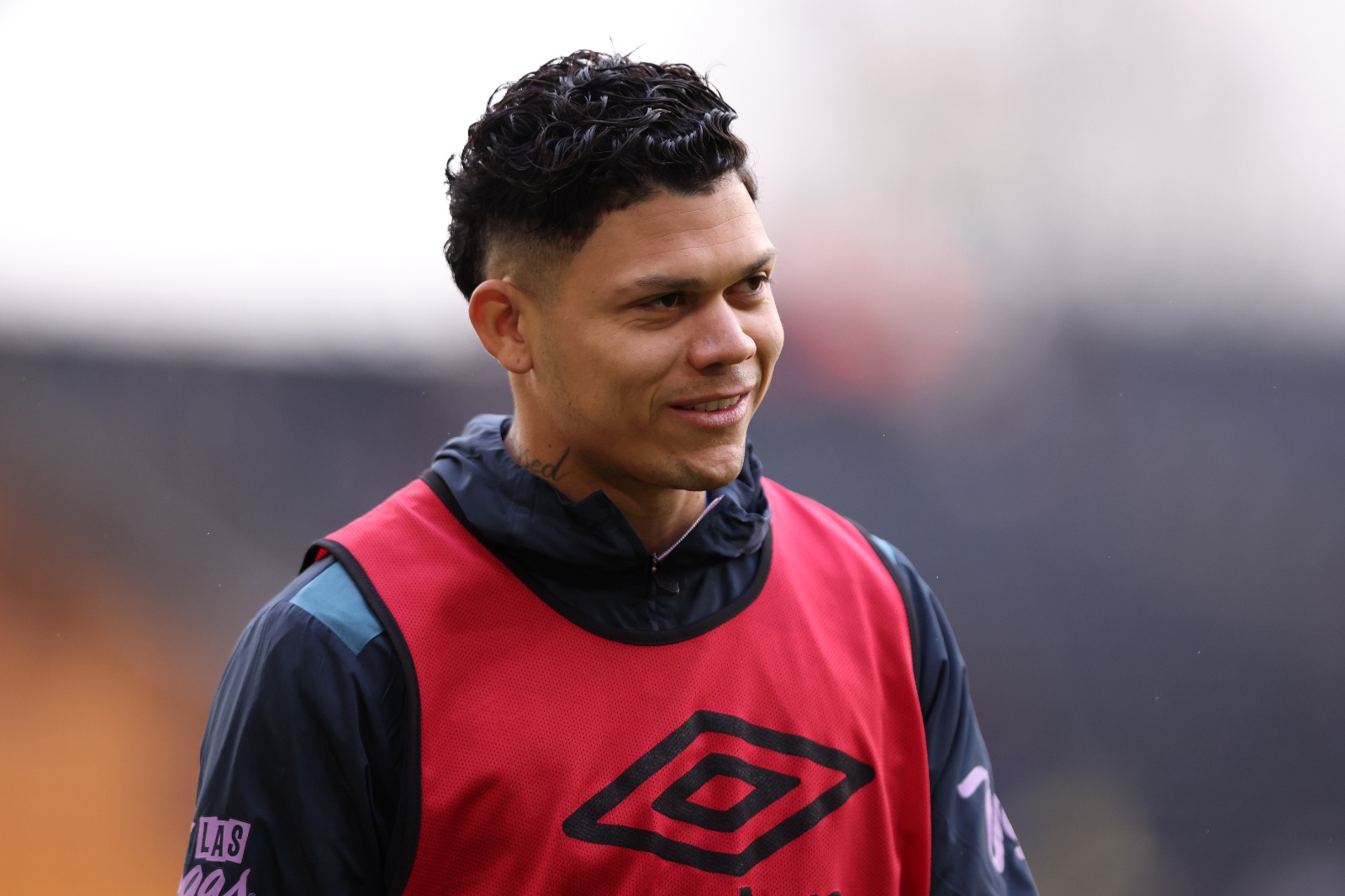 image para ilustrar o artigo