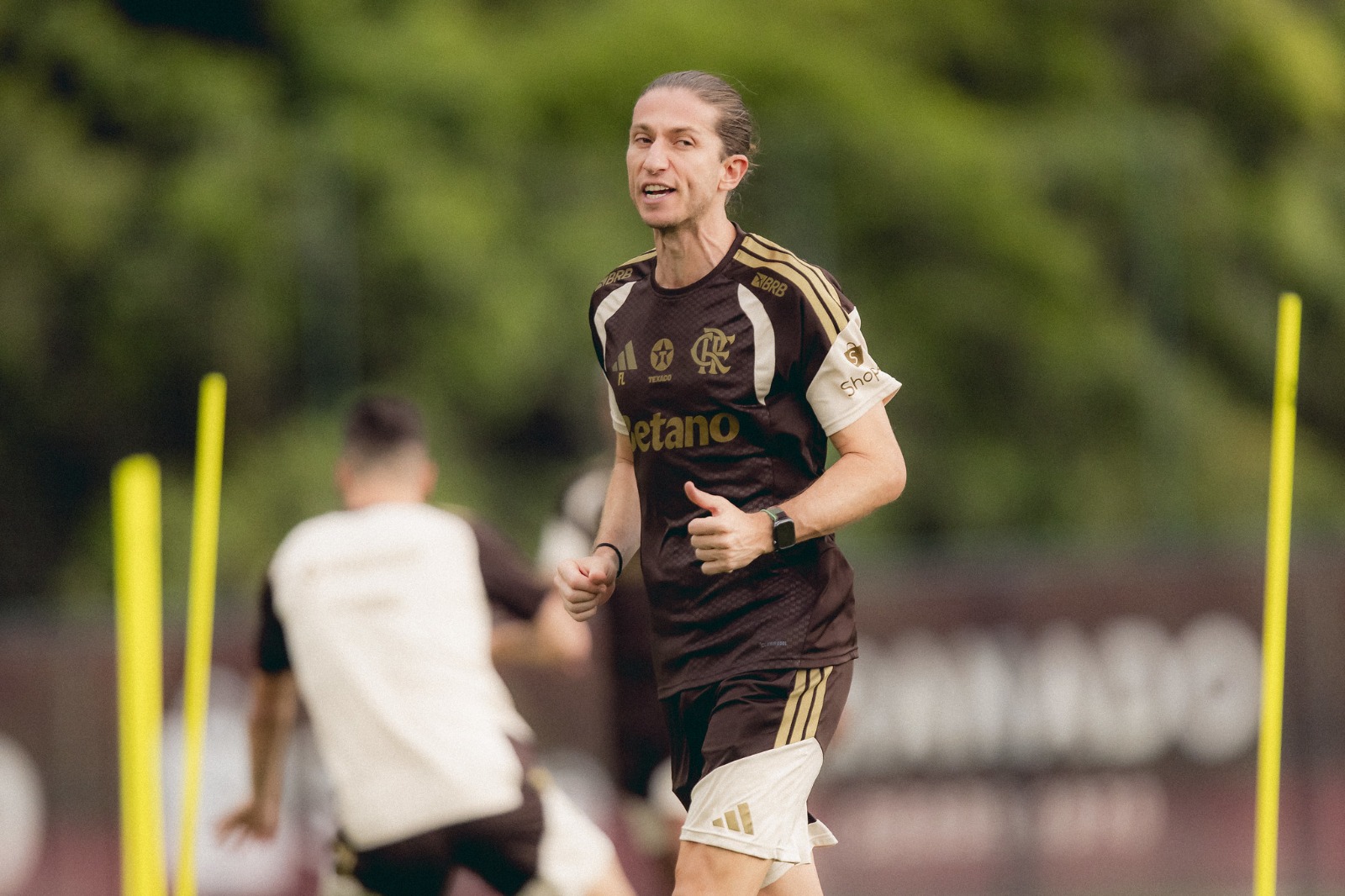 image para ilustrar o artigo