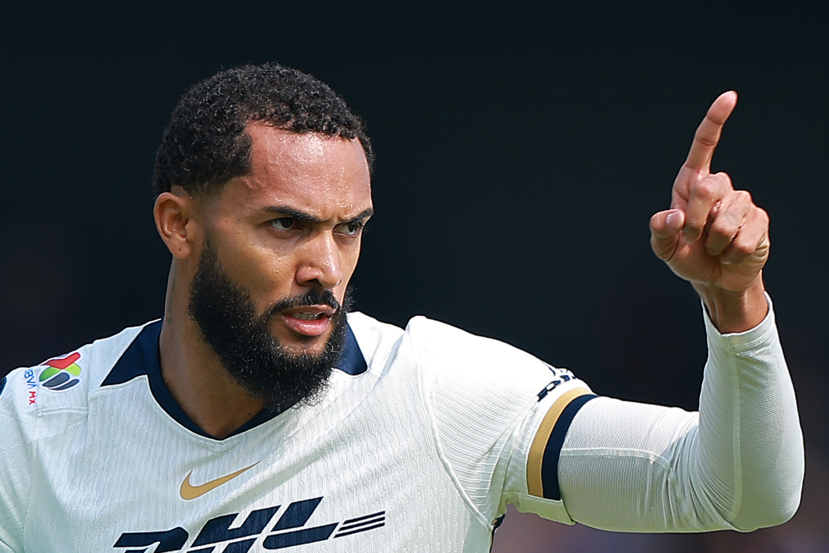 image para ilustrar o artigo