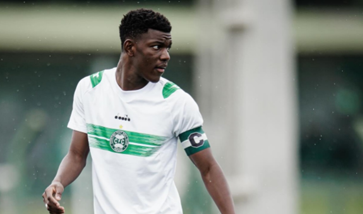 image para ilustrar o artigo