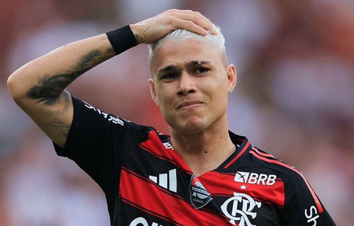 image para ilustrar o artigo