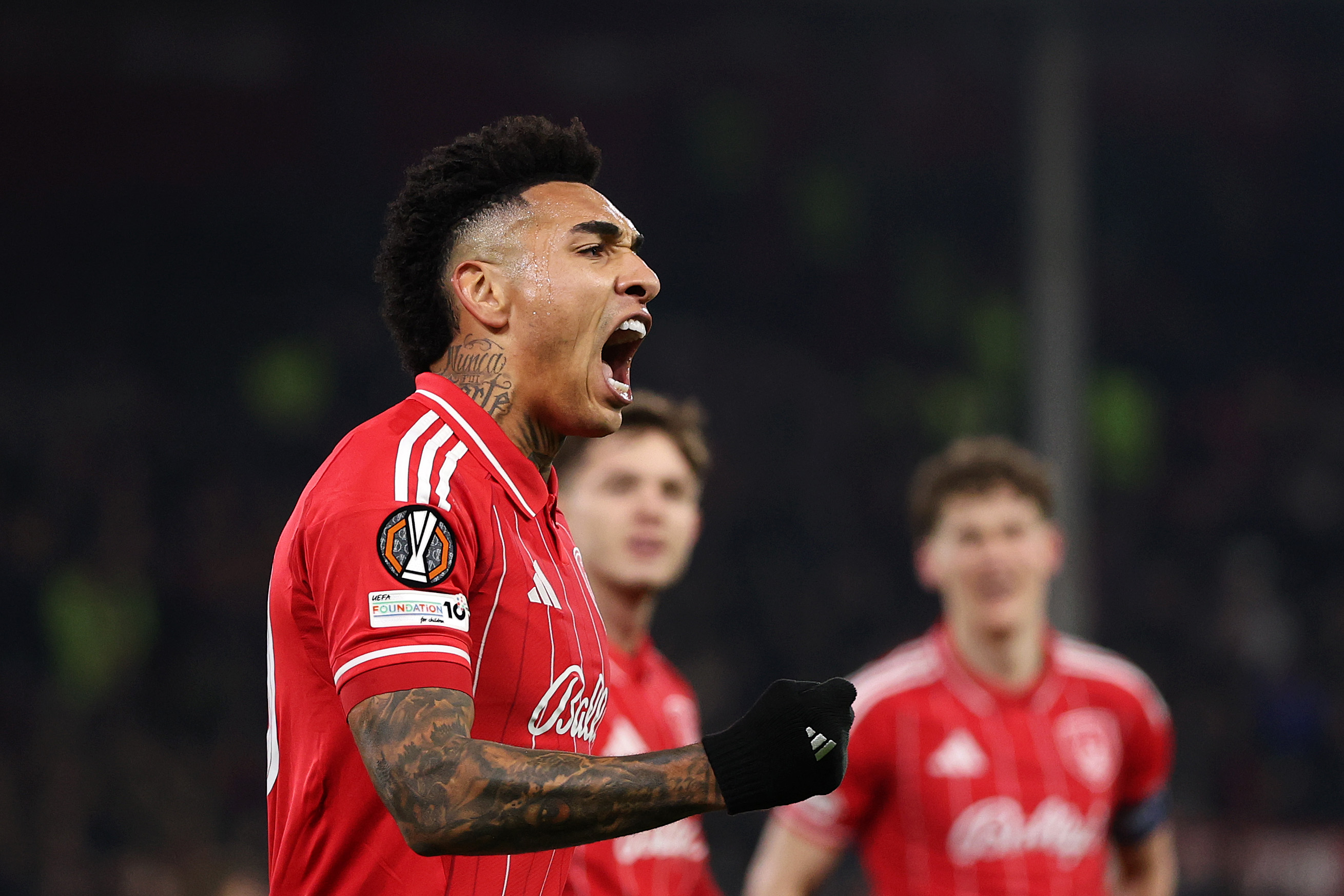 image para ilustrar o artigo