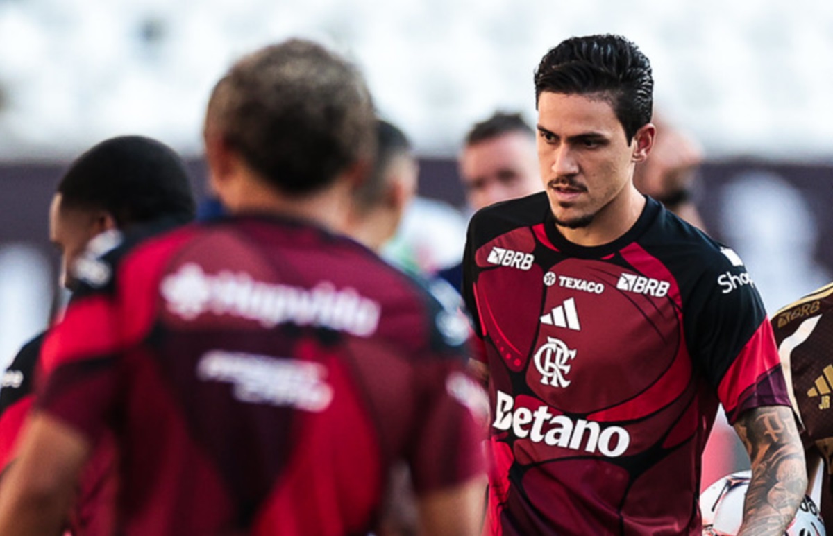 image para ilustrar o artigo