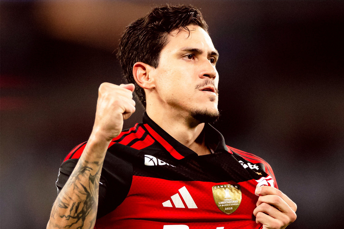 image para ilustrar o artigo