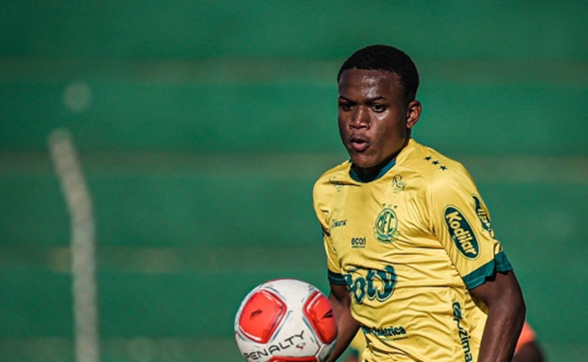 image para ilustrar o artigo