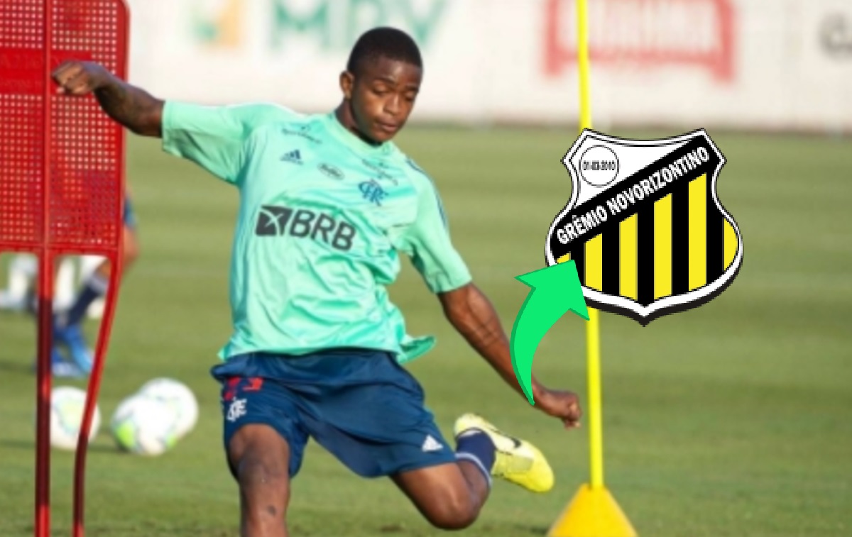 image para ilustrar o artigo