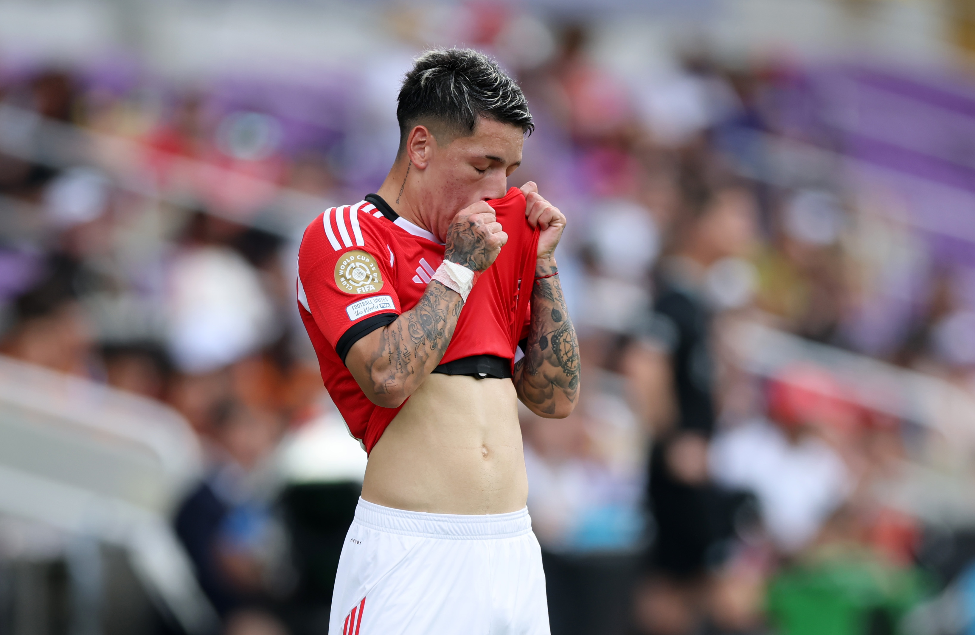 image para ilustrar o artigo