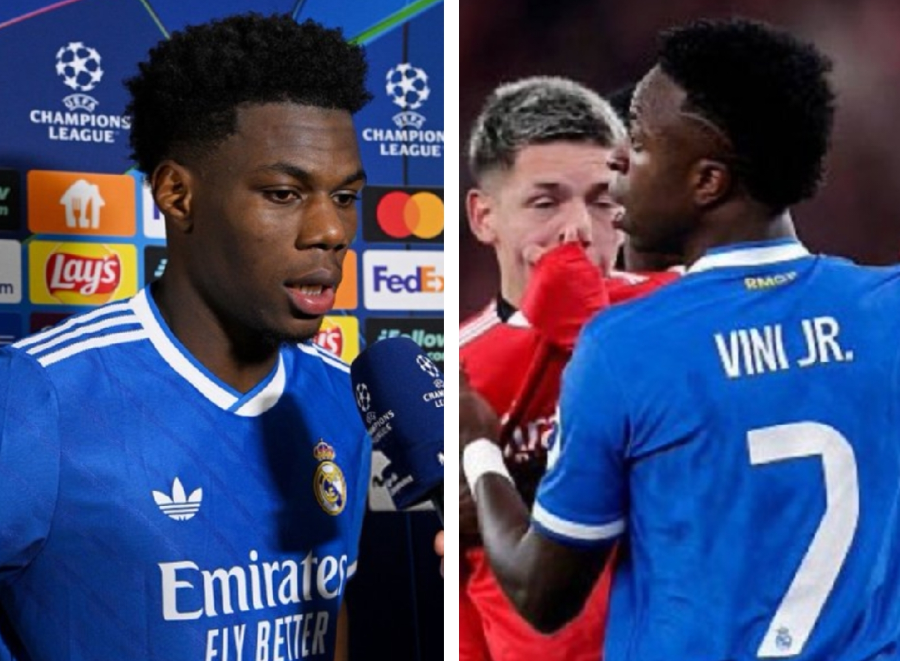 image para ilustrar o artigo