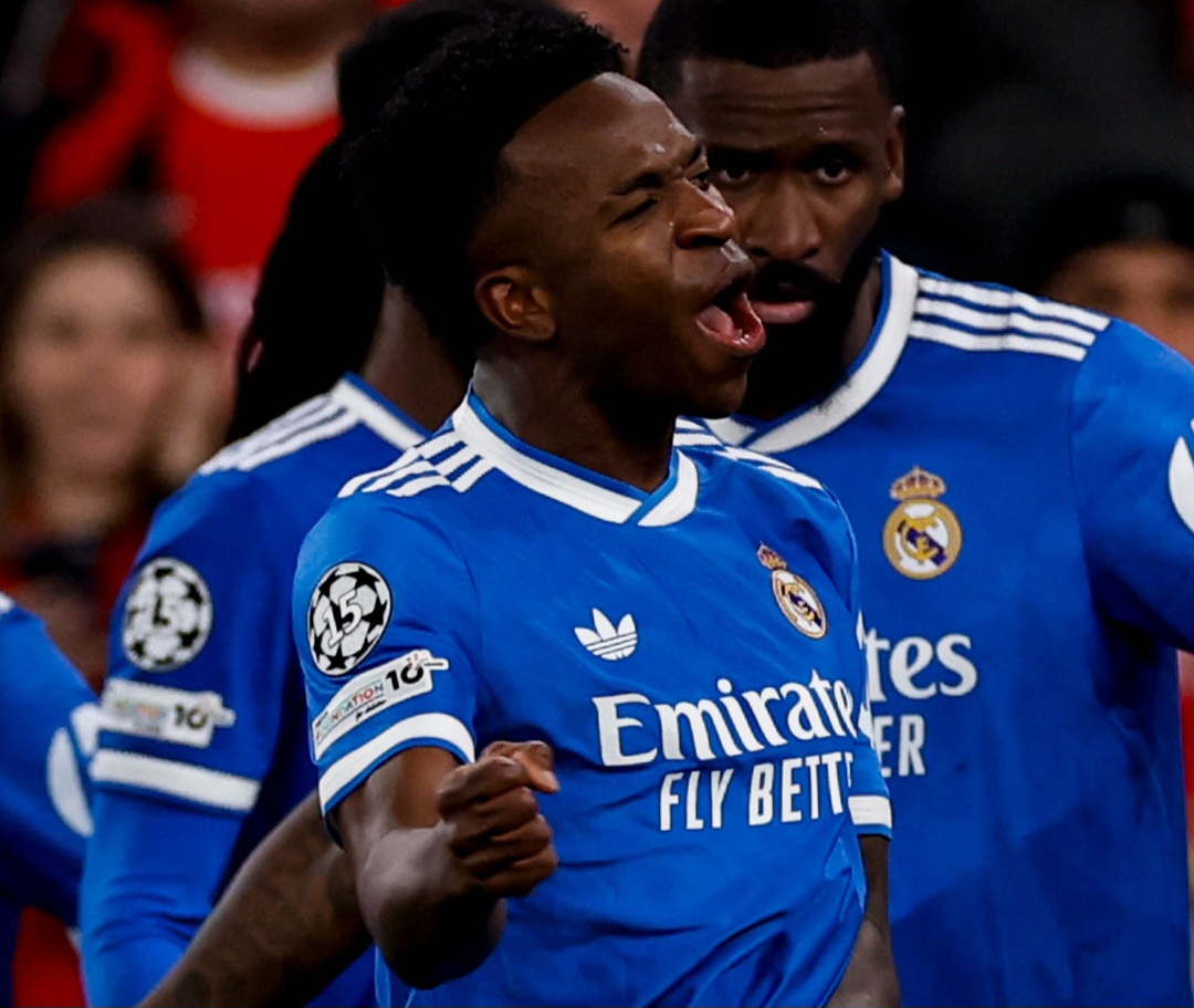 image para ilustrar o artigo