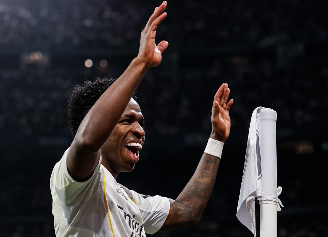 image para ilustrar o artigo