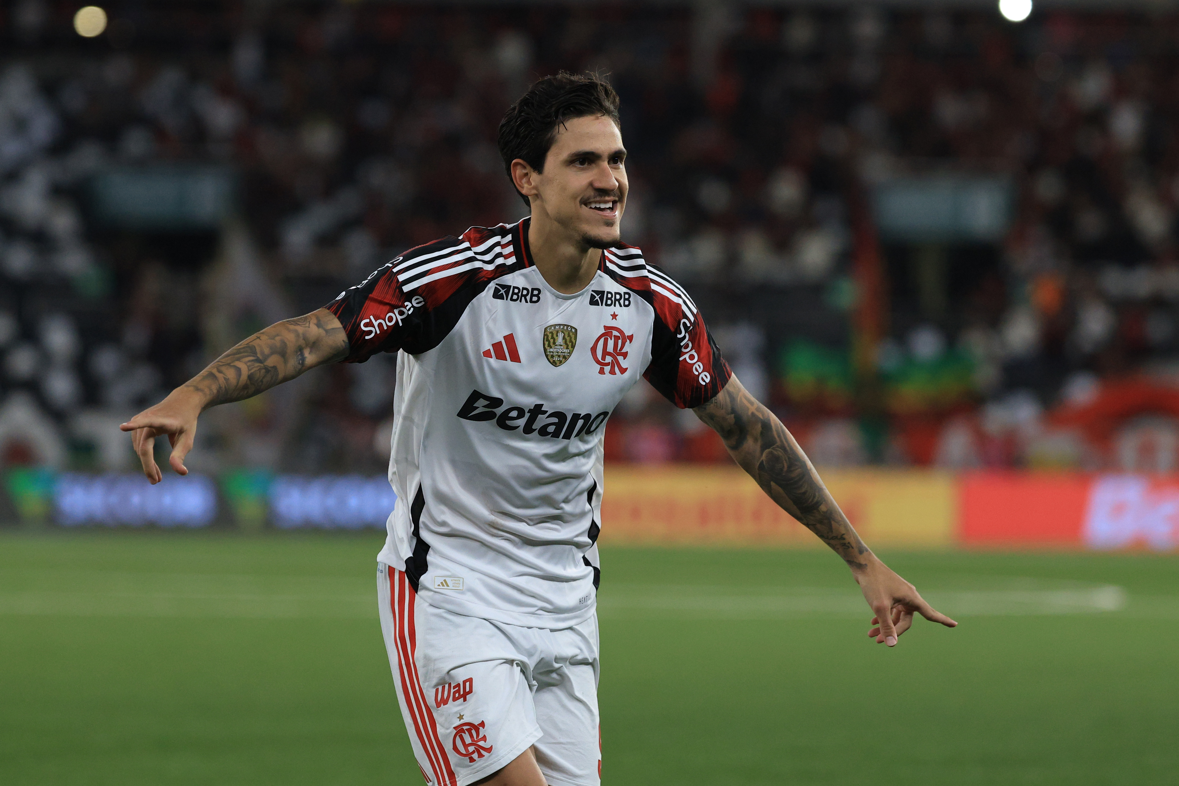 image para ilustrar o artigo