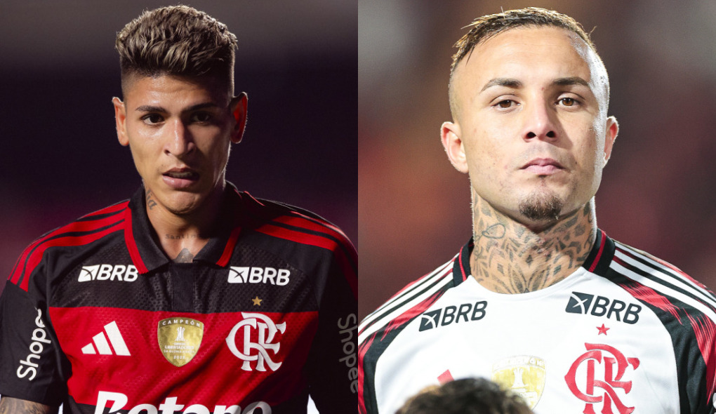 image para ilustrar o artigo