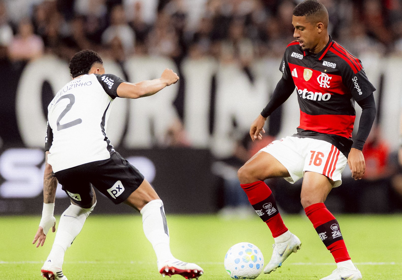 image para ilustrar o artigo