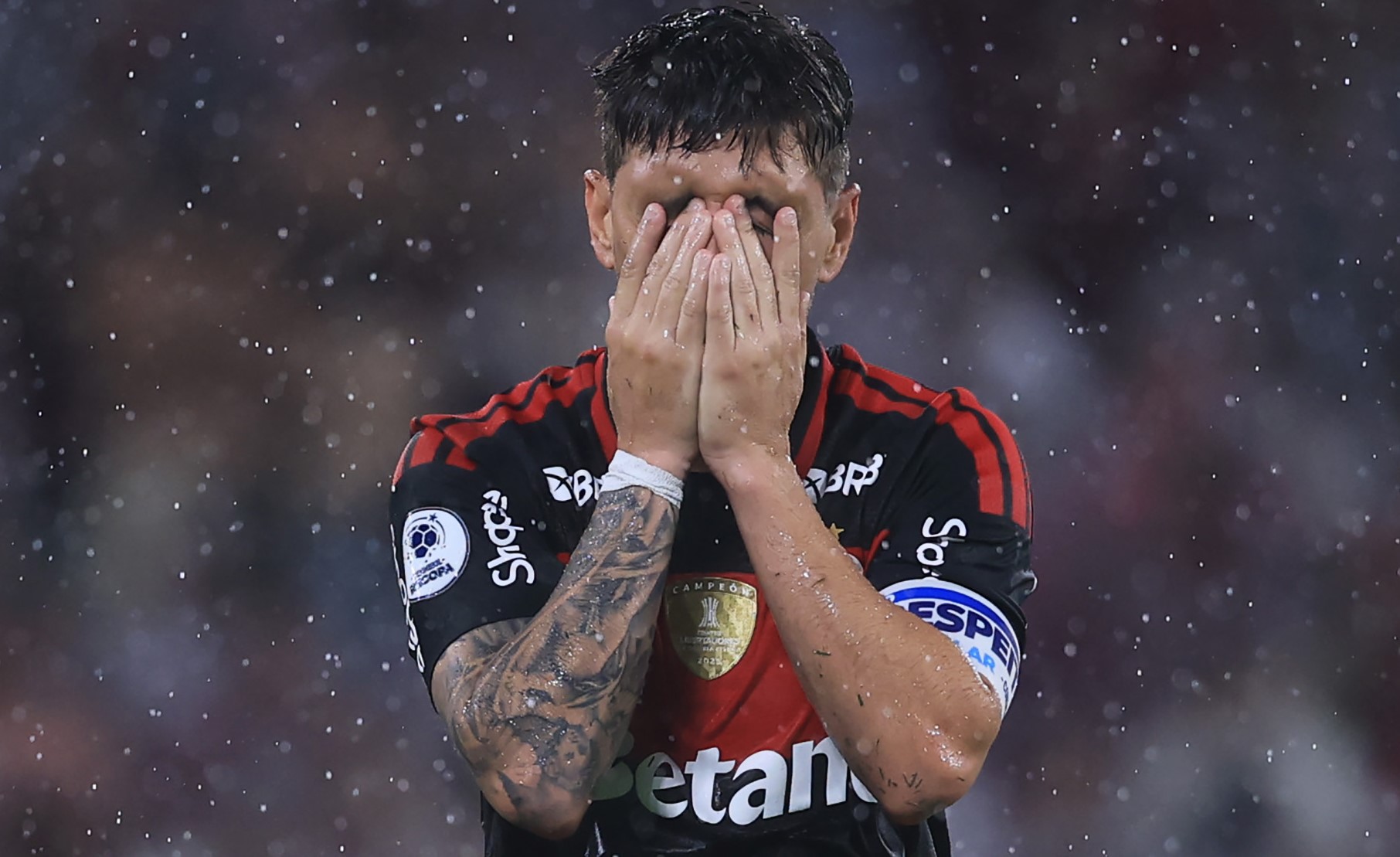 image para ilustrar o artigo