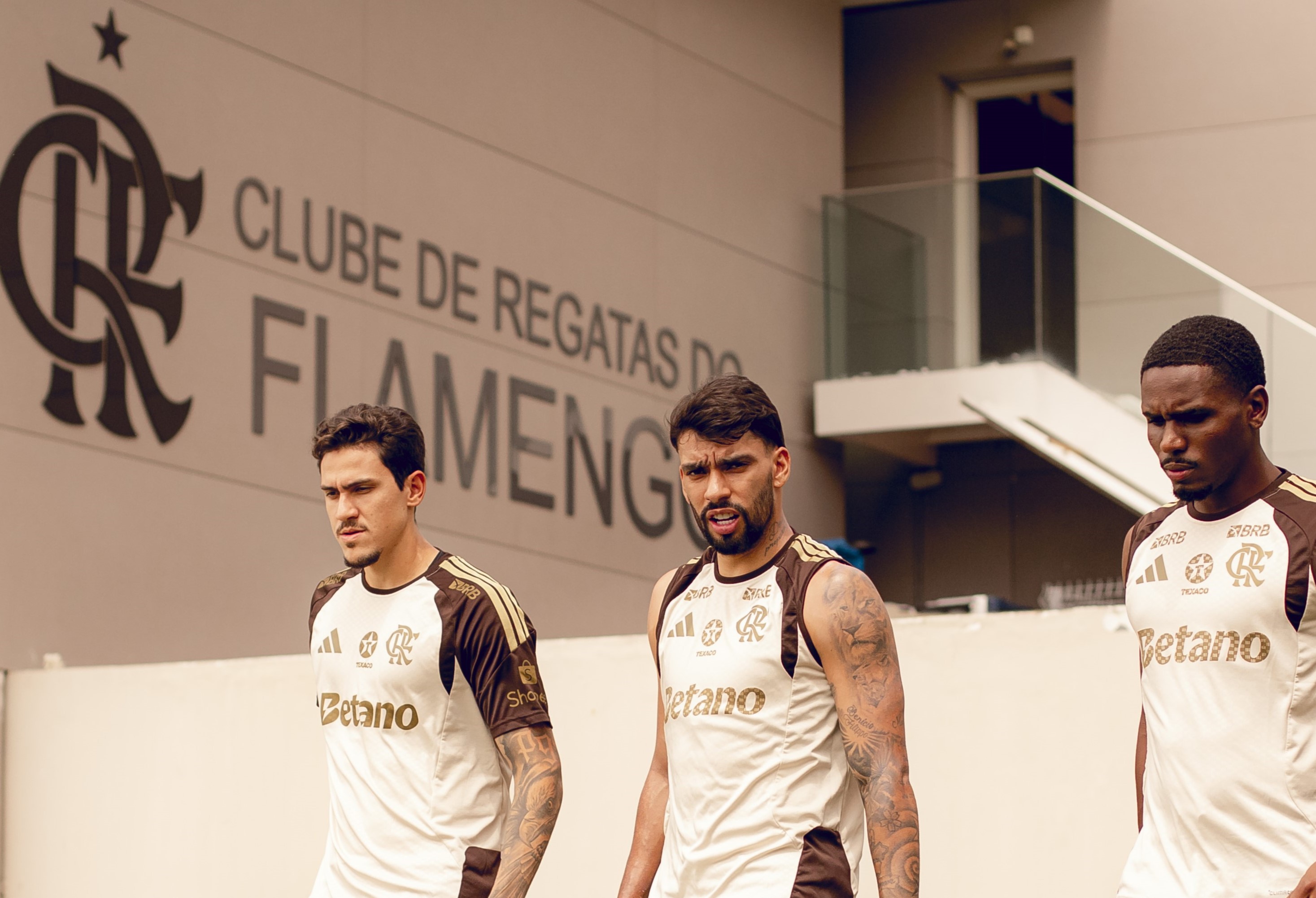 image para ilustrar o artigo