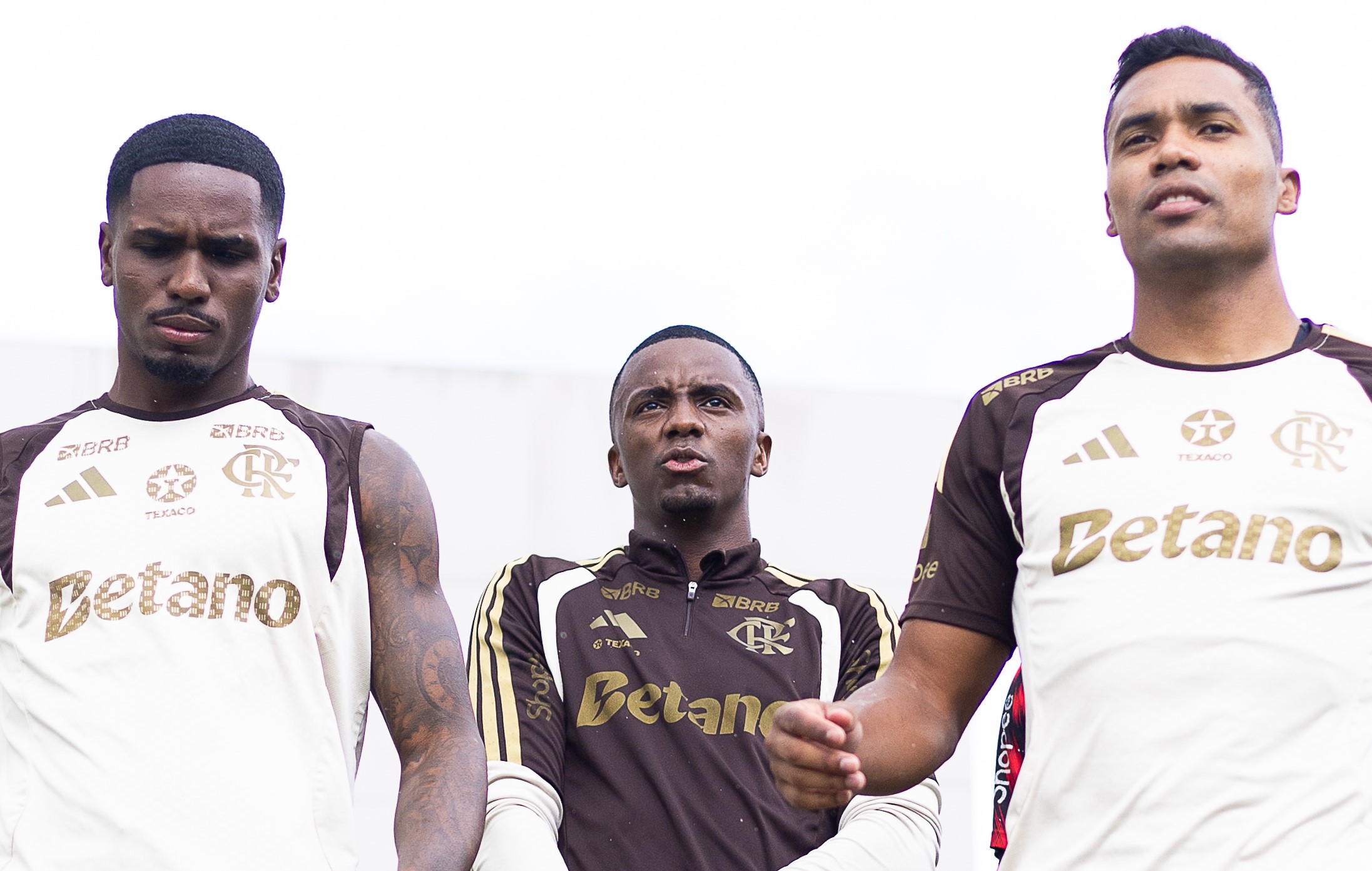 image para ilustrar o artigo