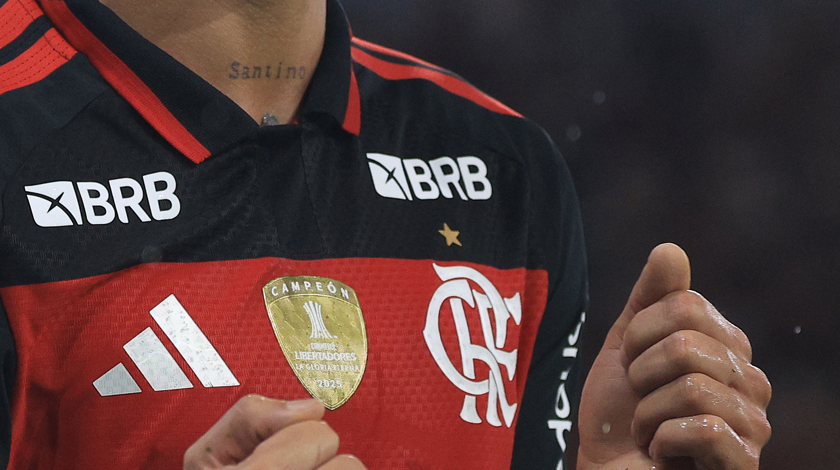 image para ilustrar o artigo