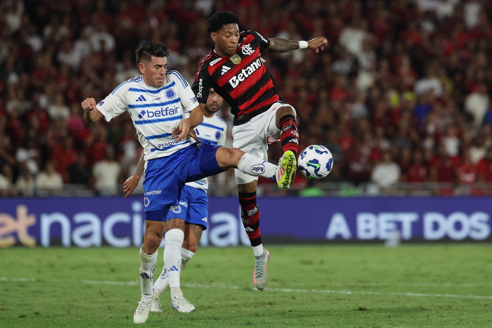 image para ilustrar o artigo