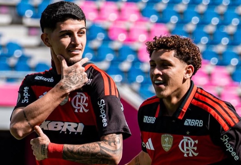 image para ilustrar o artigo