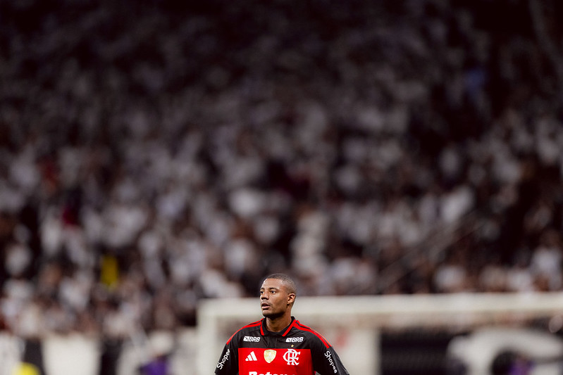 image para ilustrar o artigo