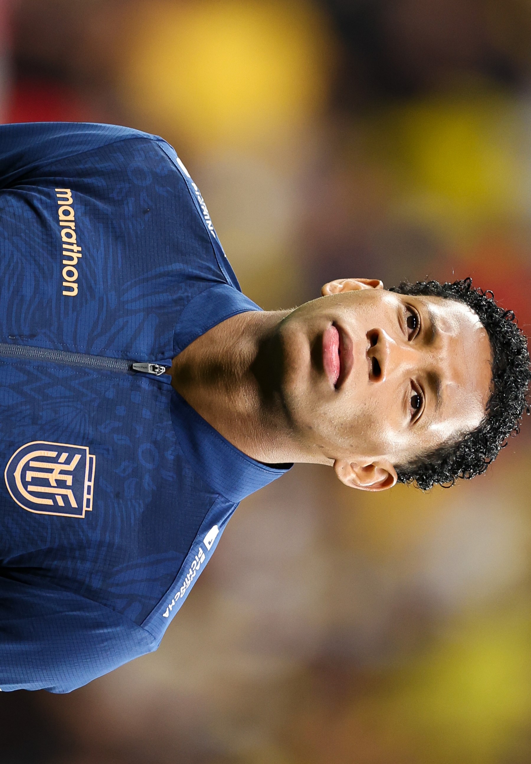 Onde assistir Plata em Holanda x Equador ao vivo hoje: horário, canais e guia do jogo