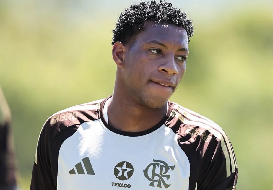 image para ilustrar o artigo