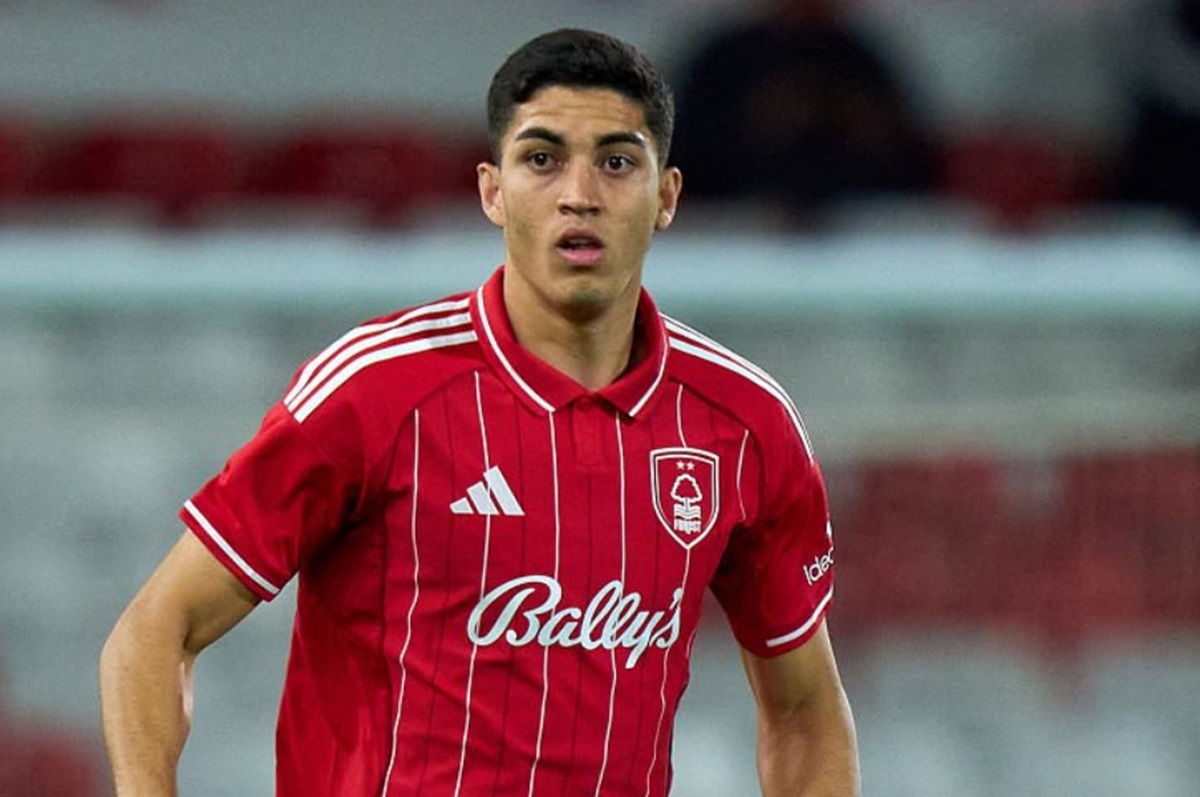 image para ilustrar o artigo