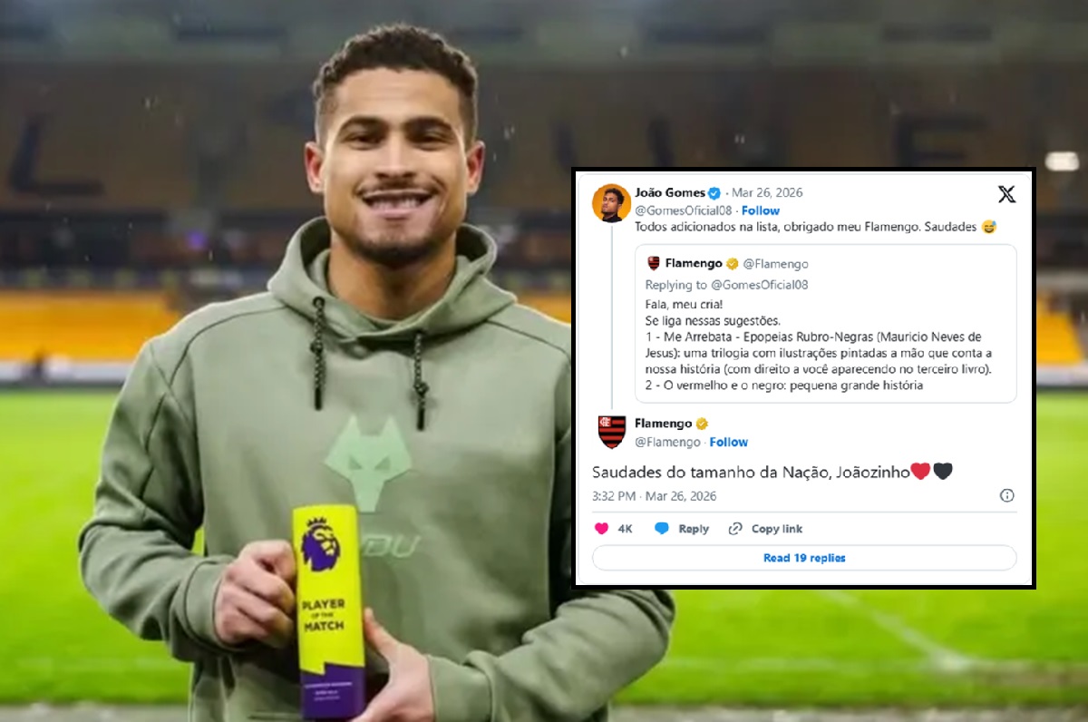 image para ilustrar o artigo