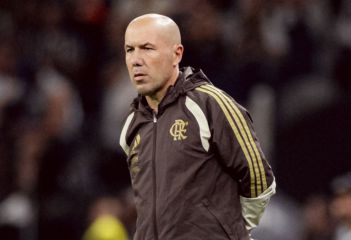 image para ilustrar o artigo