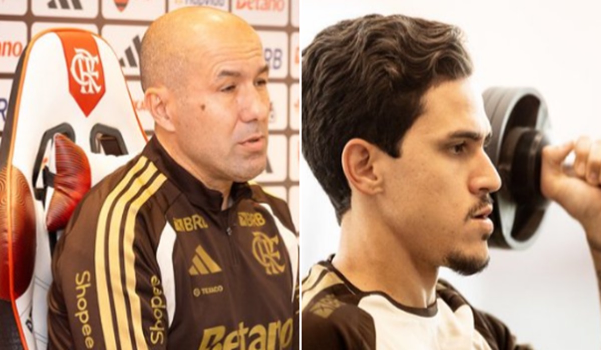 image para ilustrar o artigo