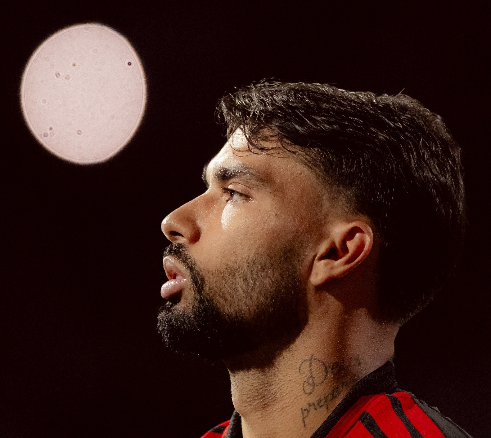 image para ilustrar o artigo