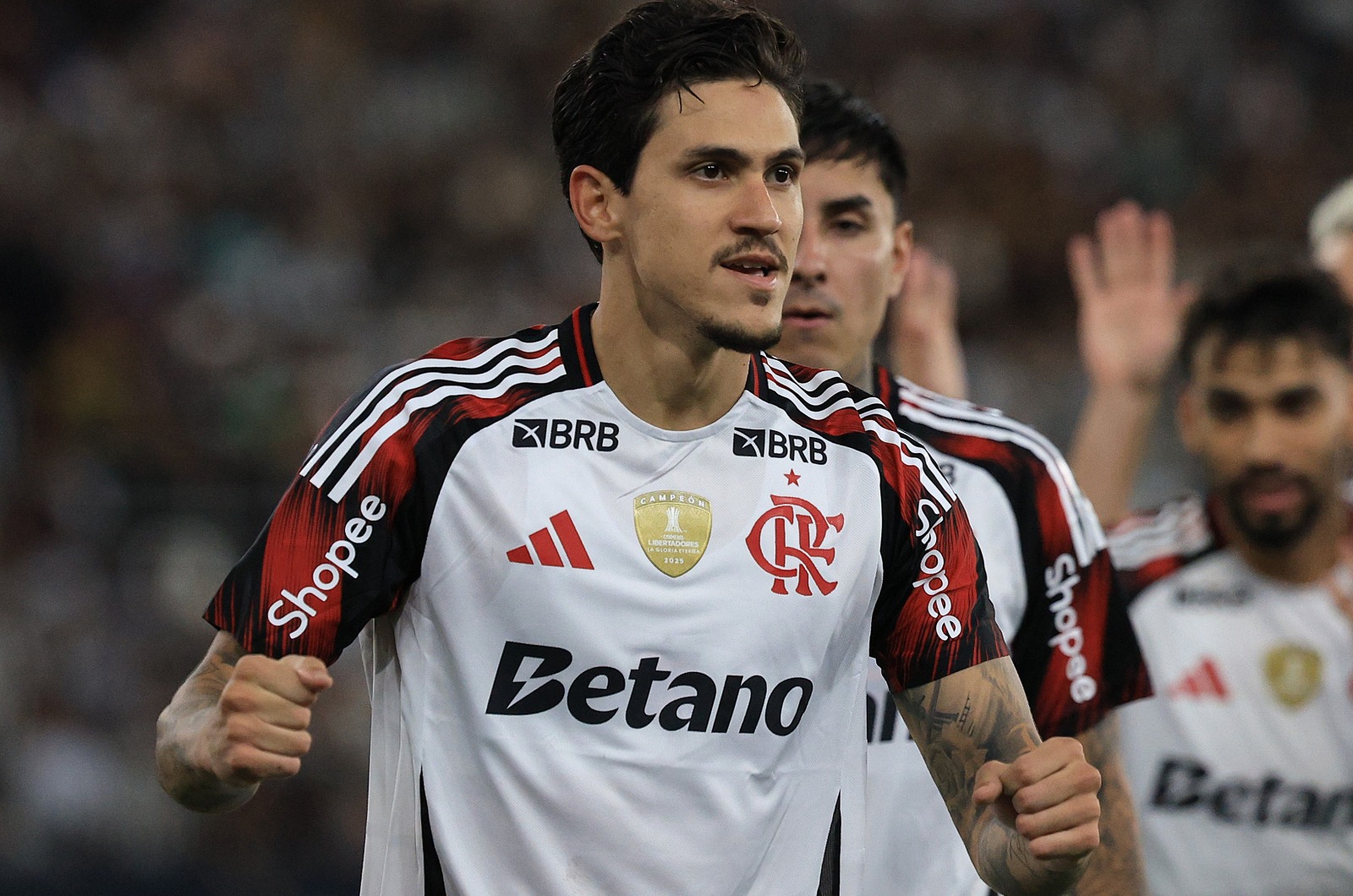 image para ilustrar o artigo