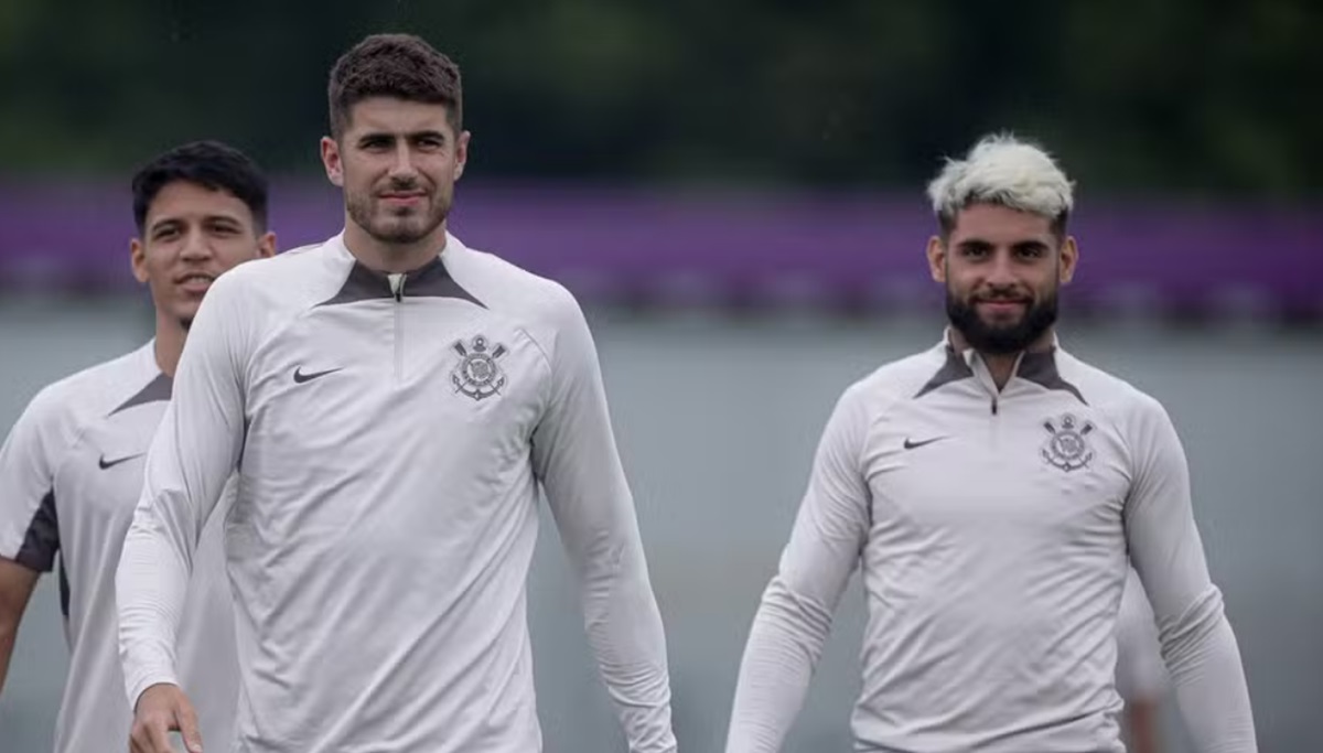 image para ilustrar o artigo