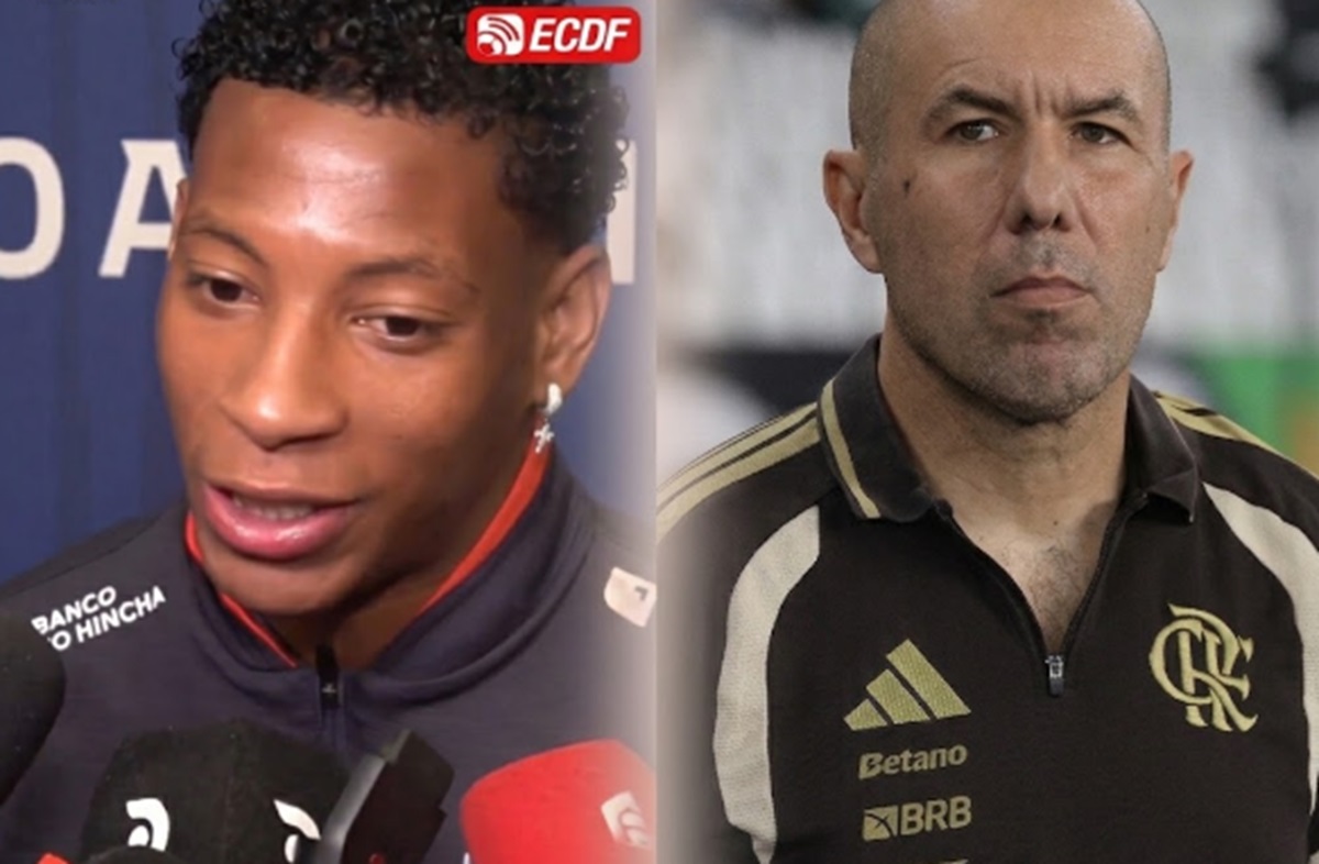 image para ilustrar o artigo