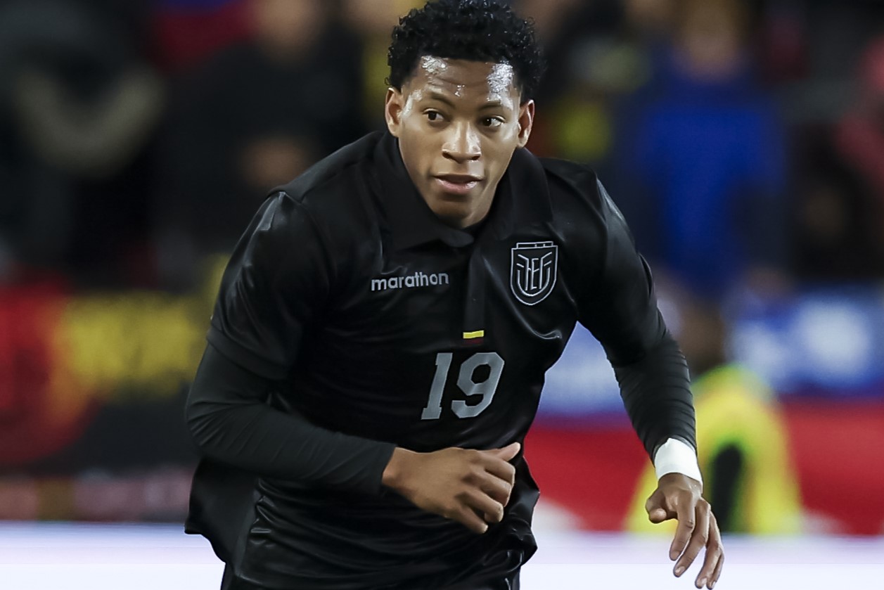 image para ilustrar o artigo