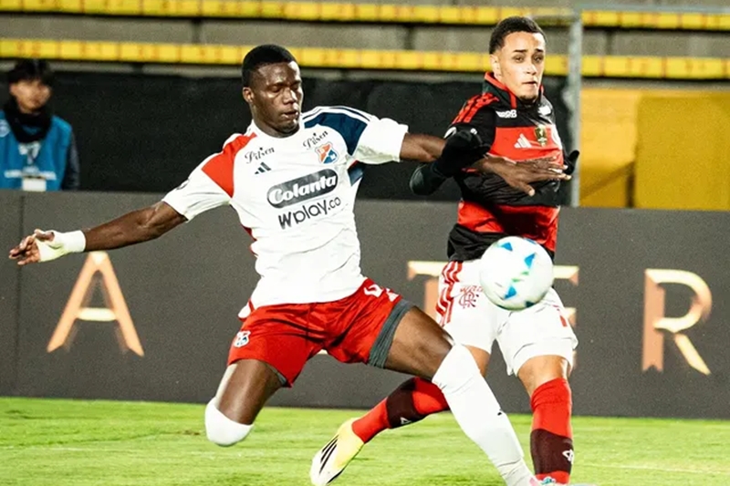 image para ilustrar o artigo