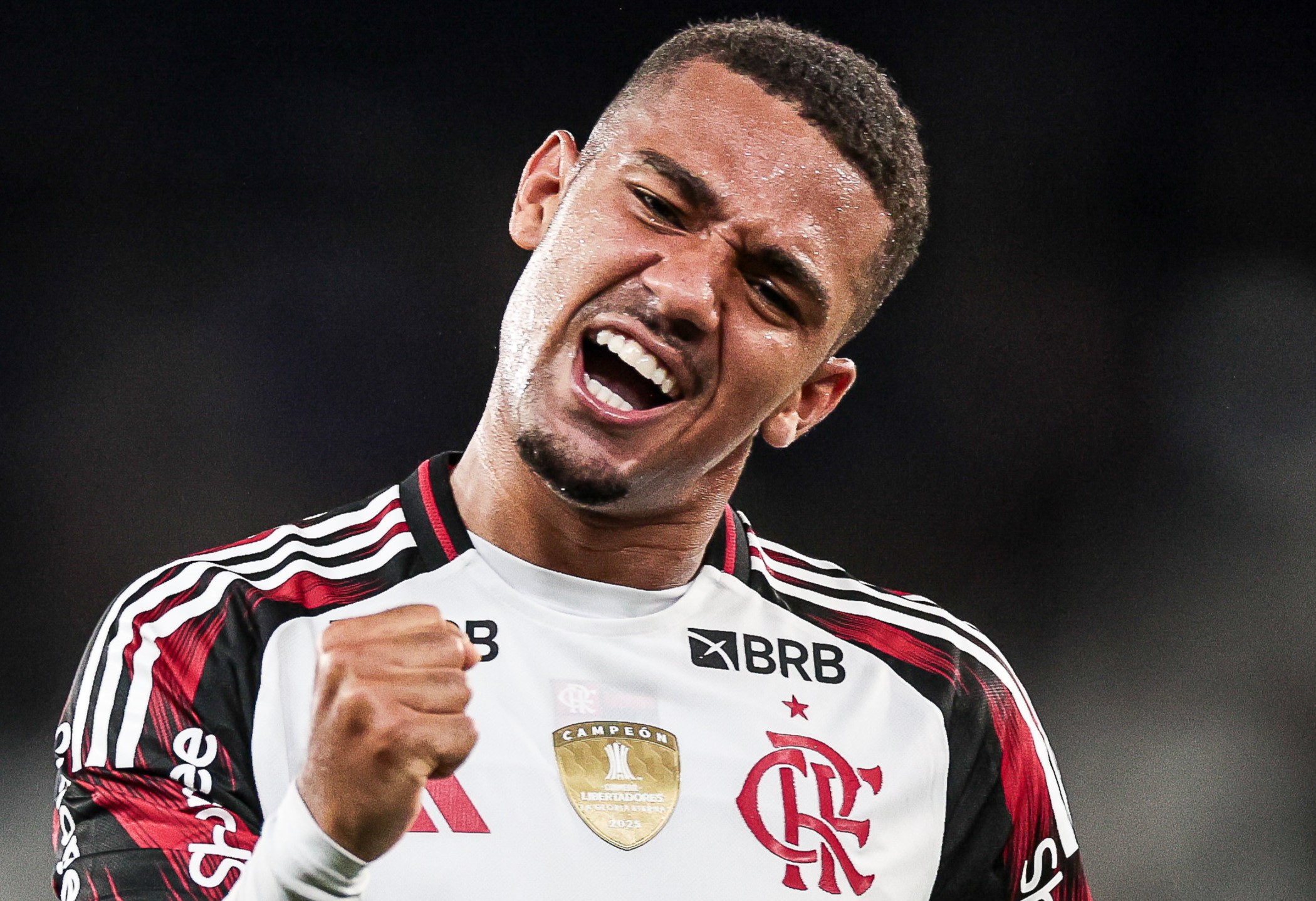 image para ilustrar o artigo