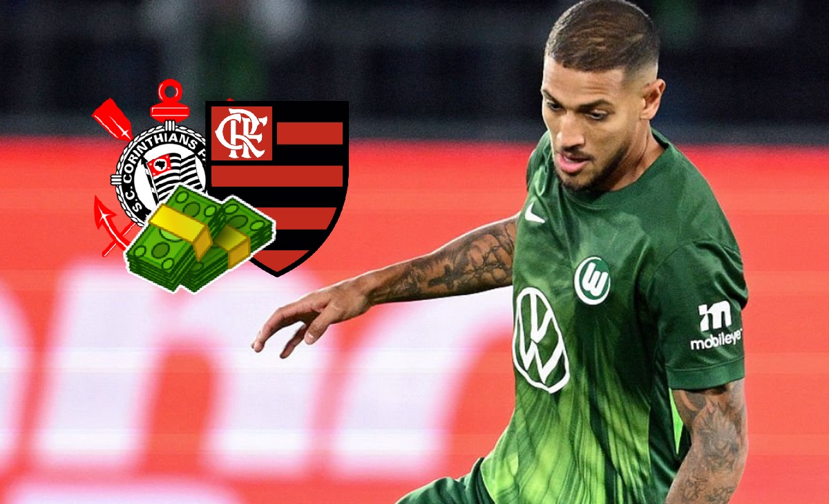 image para ilustrar o artigo