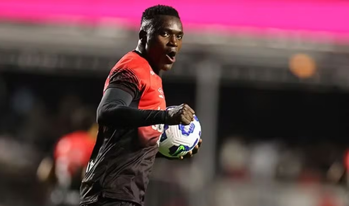 image para ilustrar o artigo