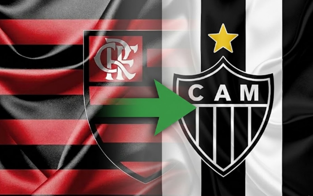 image para ilustrar o artigo